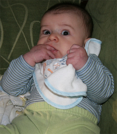 bib.jpg