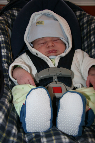 Seats on Car Seat