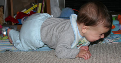 crawling.jpg