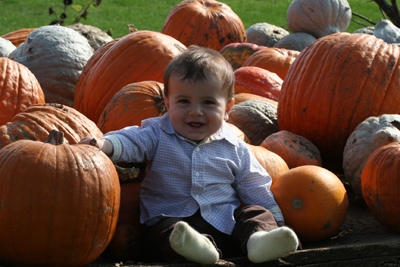pumpkin4.jpg