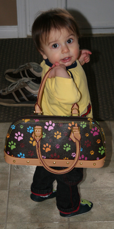 purse.jpg