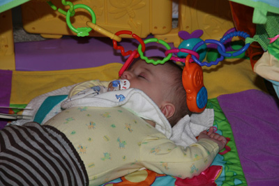 sleep-tent.jpg