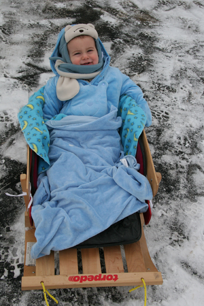 sleigh.jpg