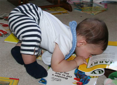 toppling-over.jpg
