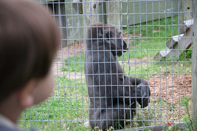 zoo4.jpg