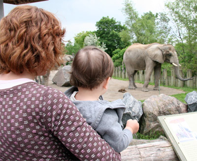 zoo6.jpg