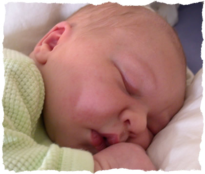 Simon Sleeping Simon Sleeping